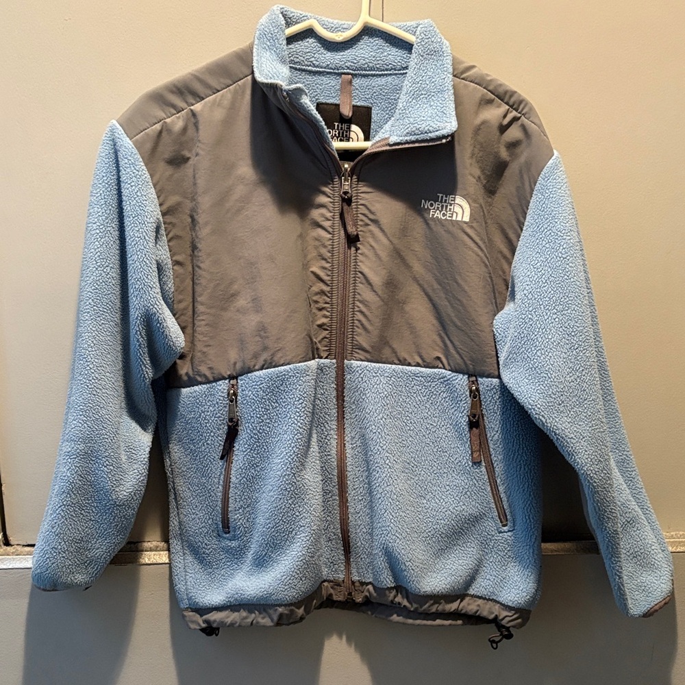 Vintage Y2K The North Face Denali Fleece Jacket